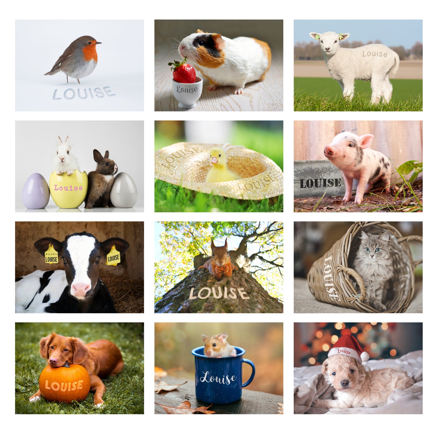 Personalised Cute Animals Desk Calendar