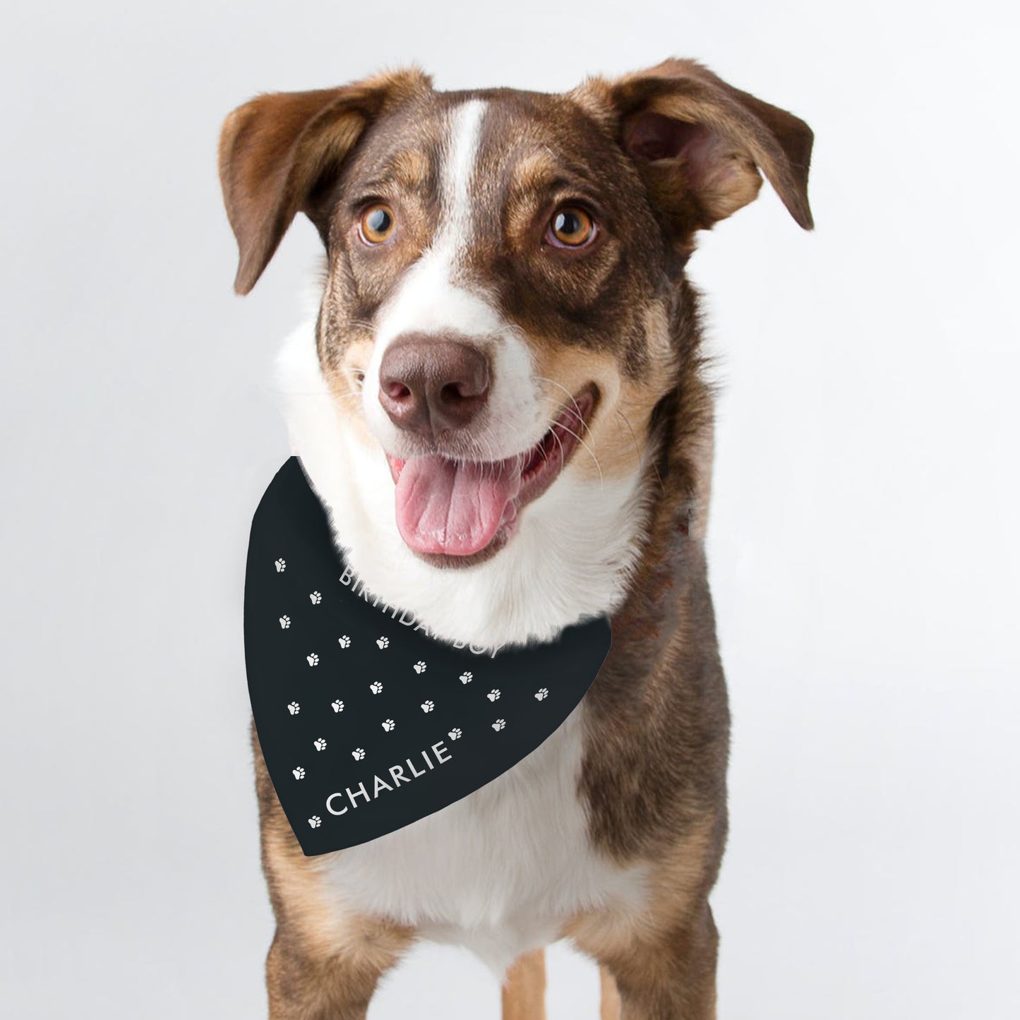 Personalised Paw Print Dog Bandana